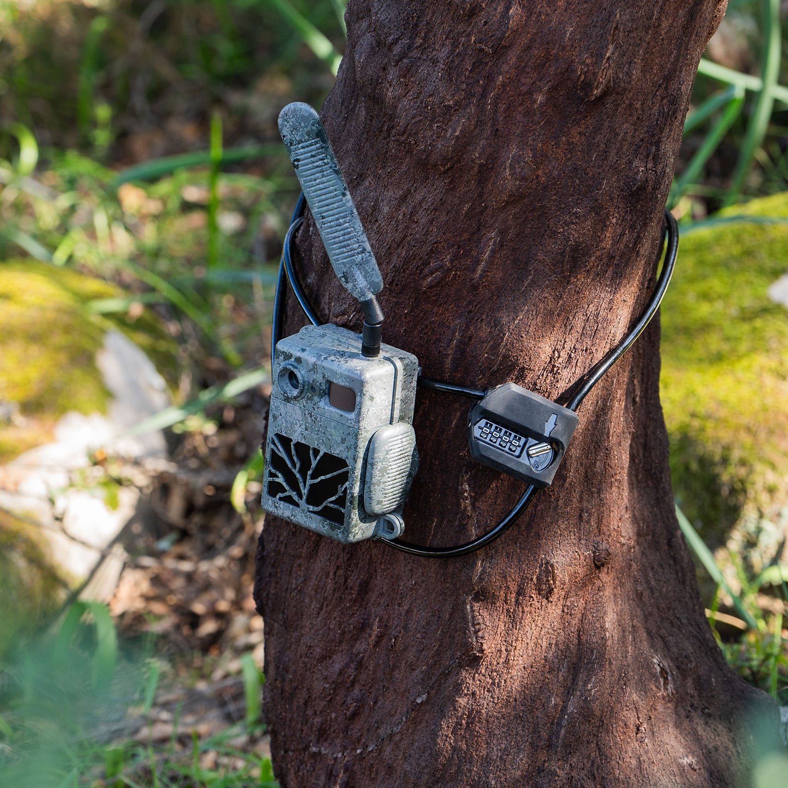 ZEISS Verrouillage de câble (avec code)