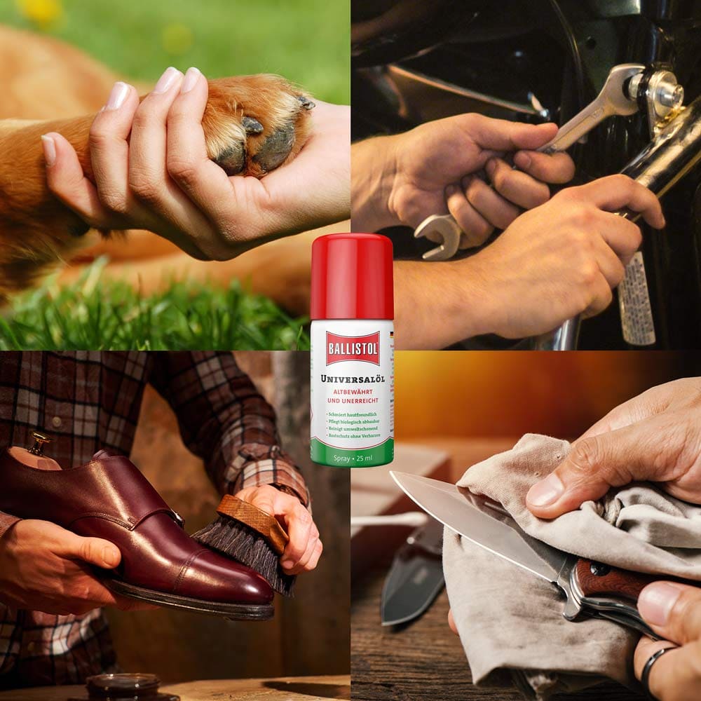 Huile Universelle Ballistol en Spray, 25 ml