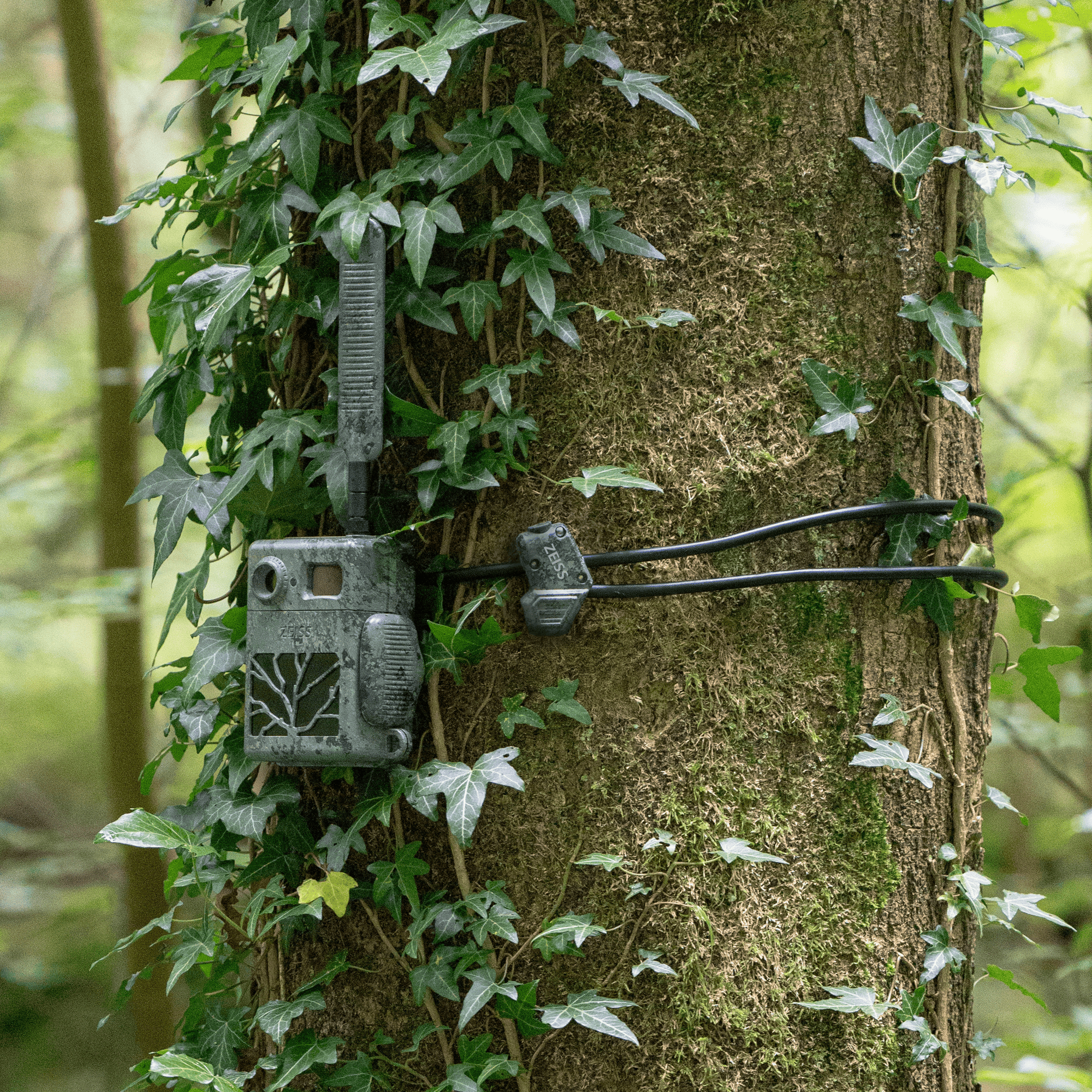 ZEISS Câble antivol avec clé