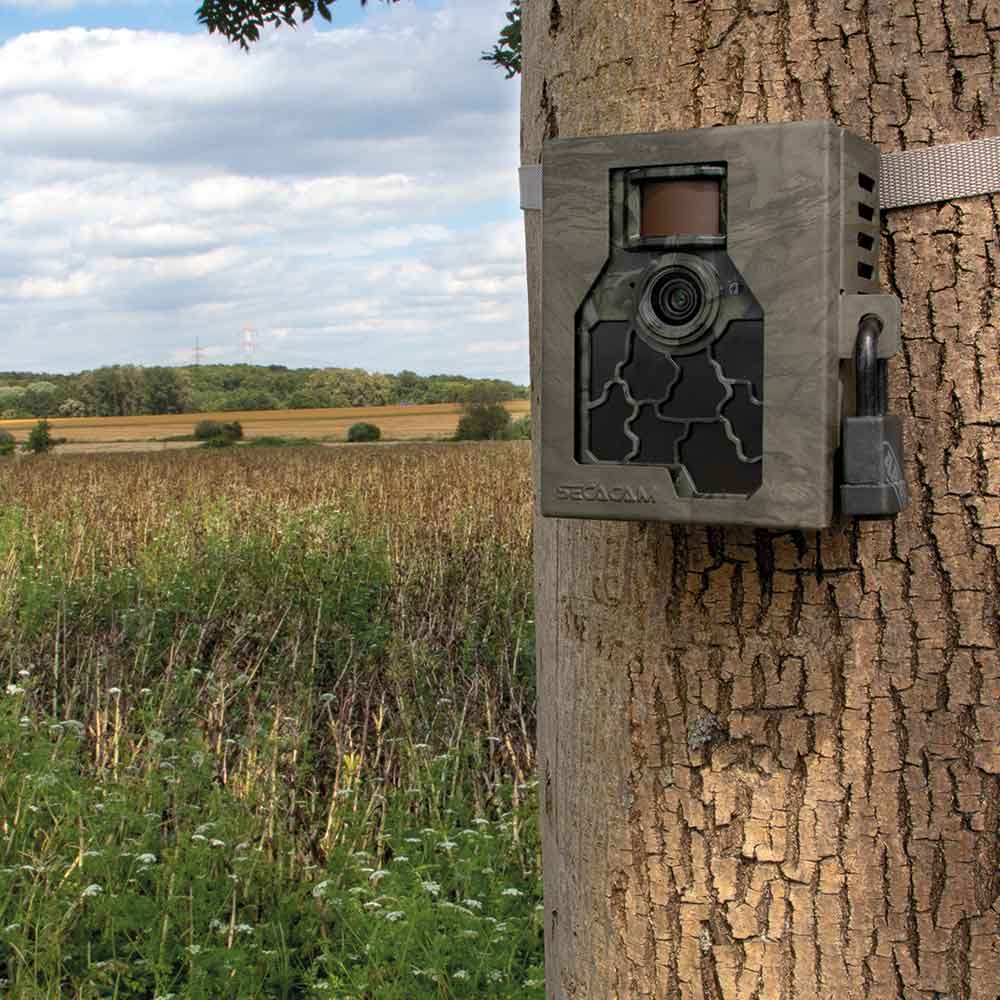 SECACAM Metal Housing 5000 Explorer green textured