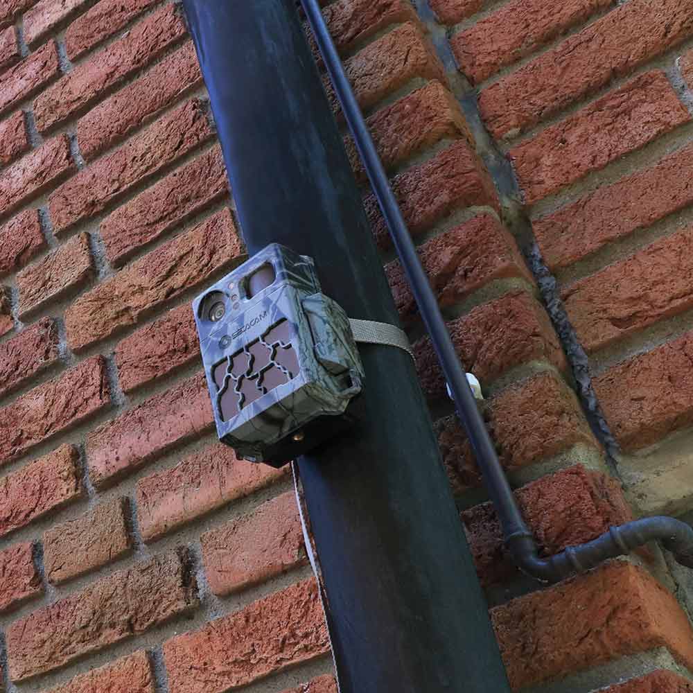 SECACAM Mounting Strip