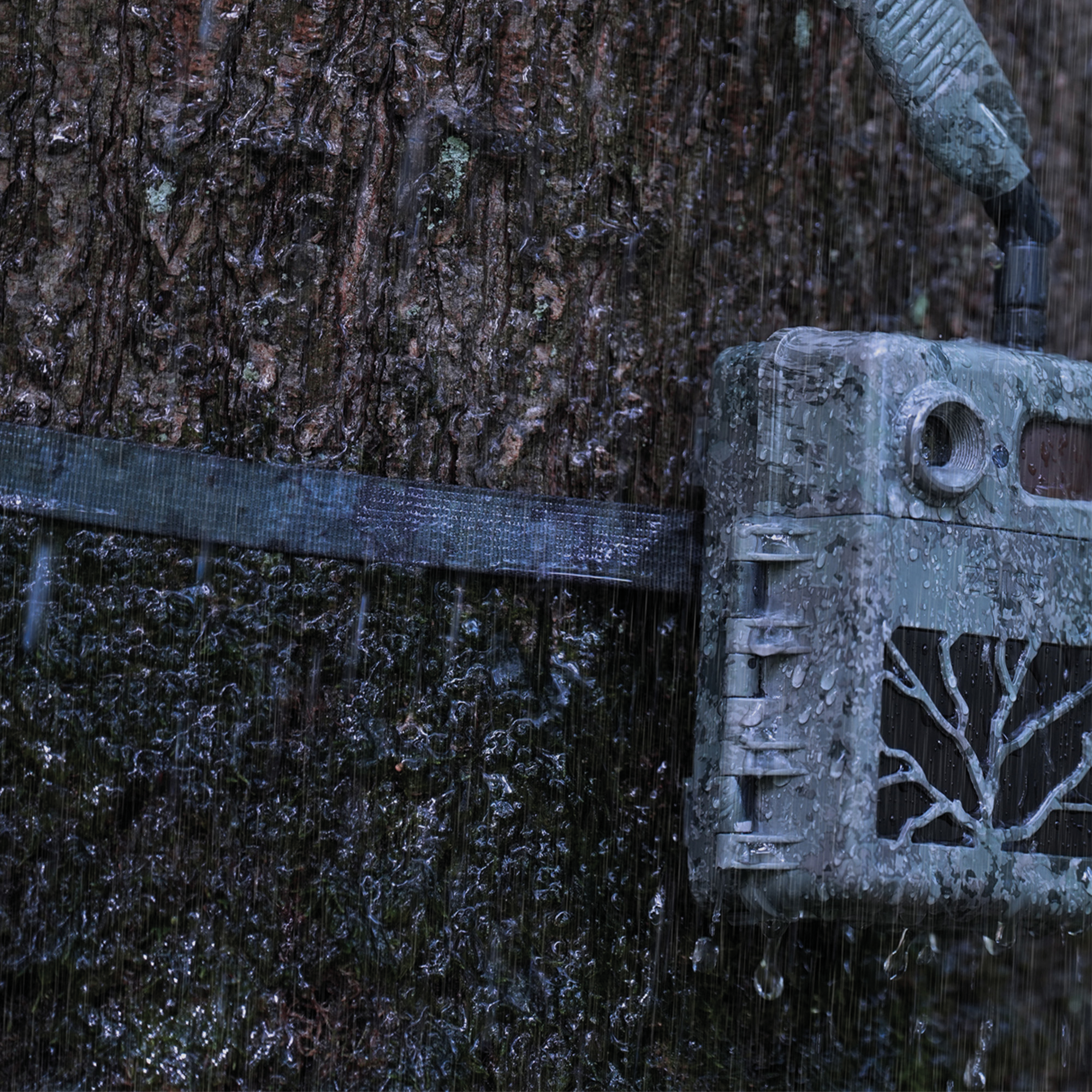 ZEISS Secacam Sangle de fixation d'arbre (Lot de 2)