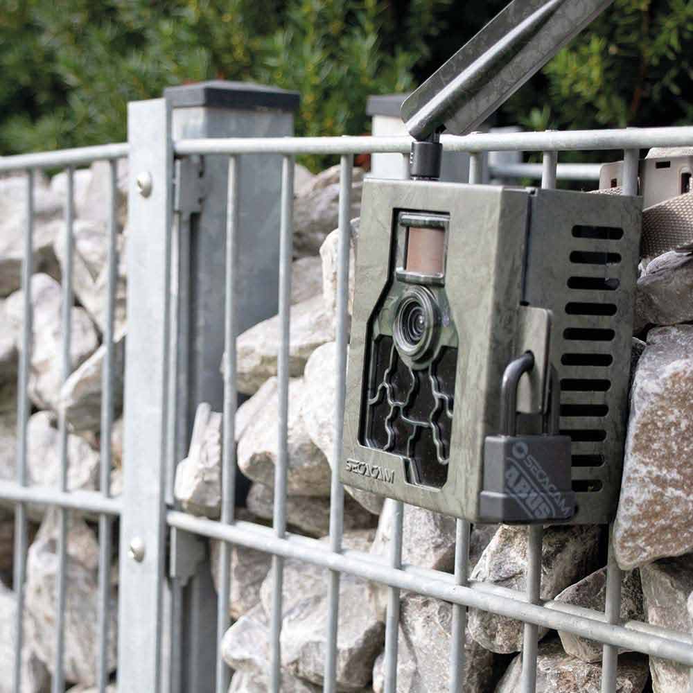 ABUS Padlock 70/35 SECACAM Edition