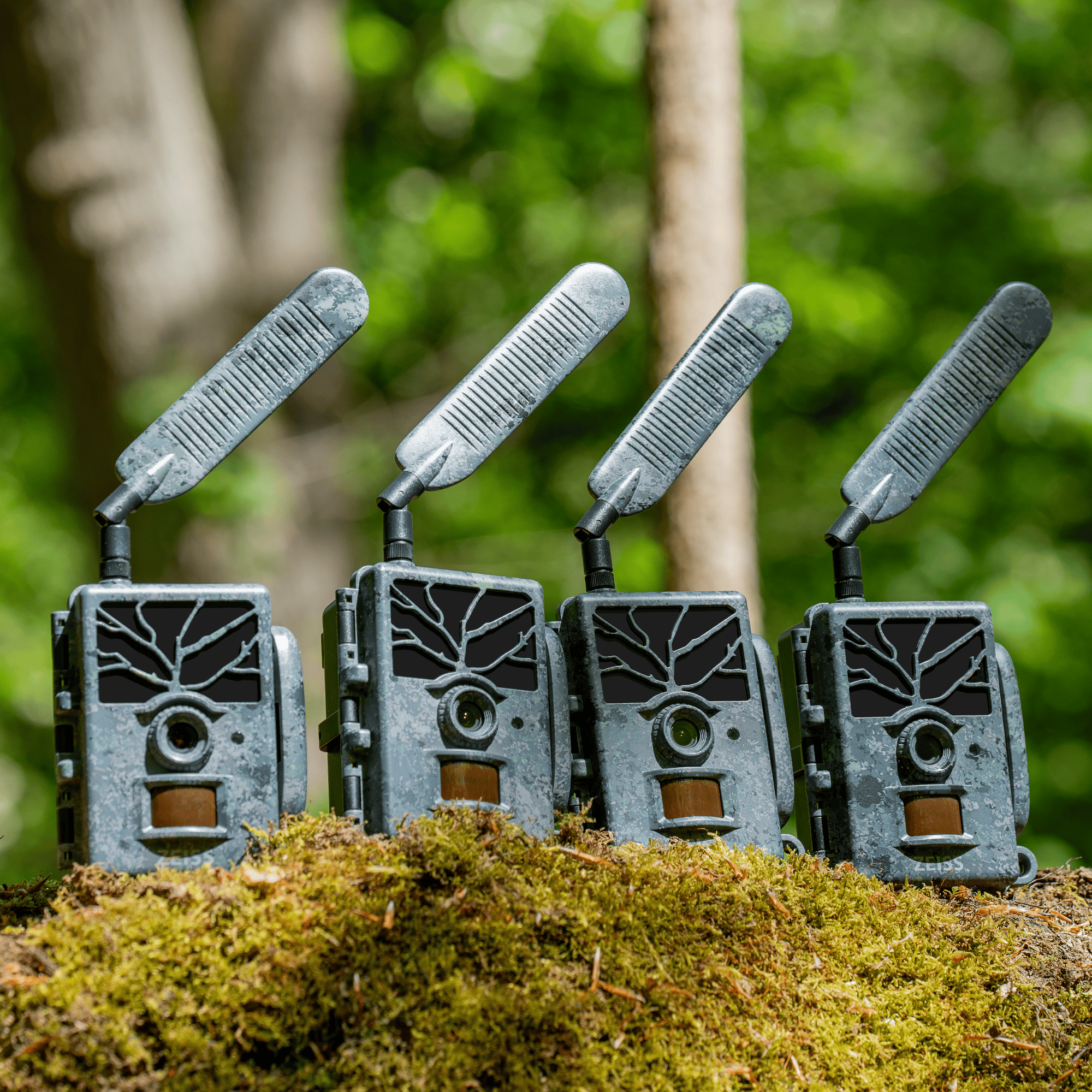 4 × ZEISS Secacam 1 pour seulement 399 €