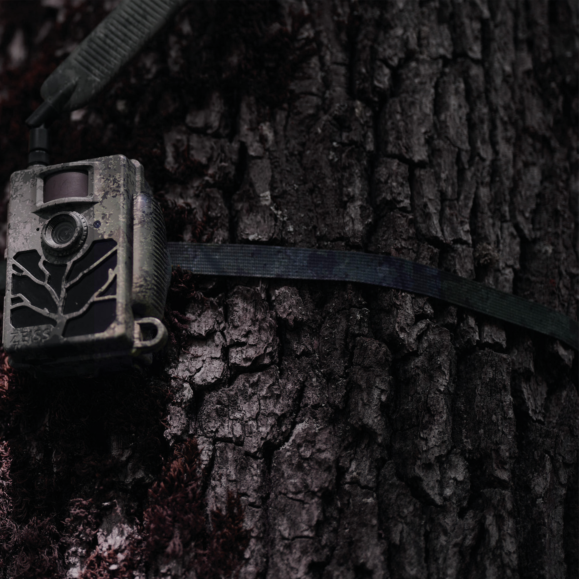 ZEISS Secacam Sangle de fixation d'arbre (Lot de 2)